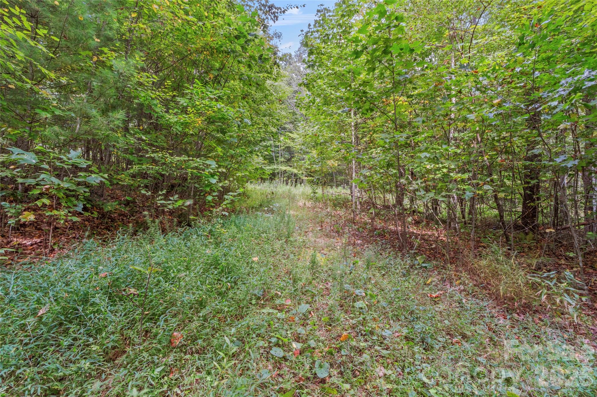 Tbd Pond Road Spruce Pine, NC 28777 - Photo 3 of 11 Gallery Image 3