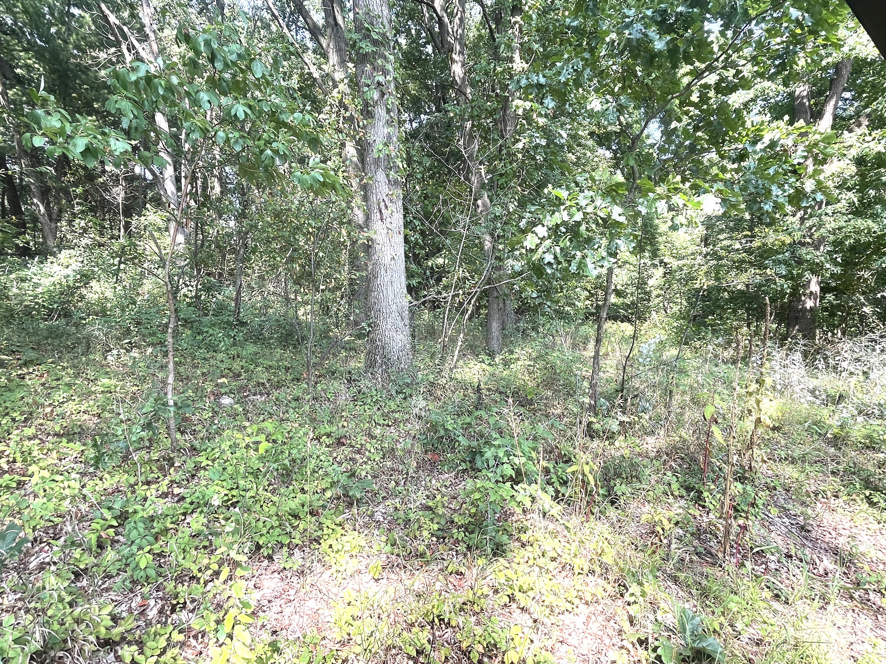 6823 Grand River Road Rives Junction, MI 49277 - Photo 14 of 16 IMG_7757
