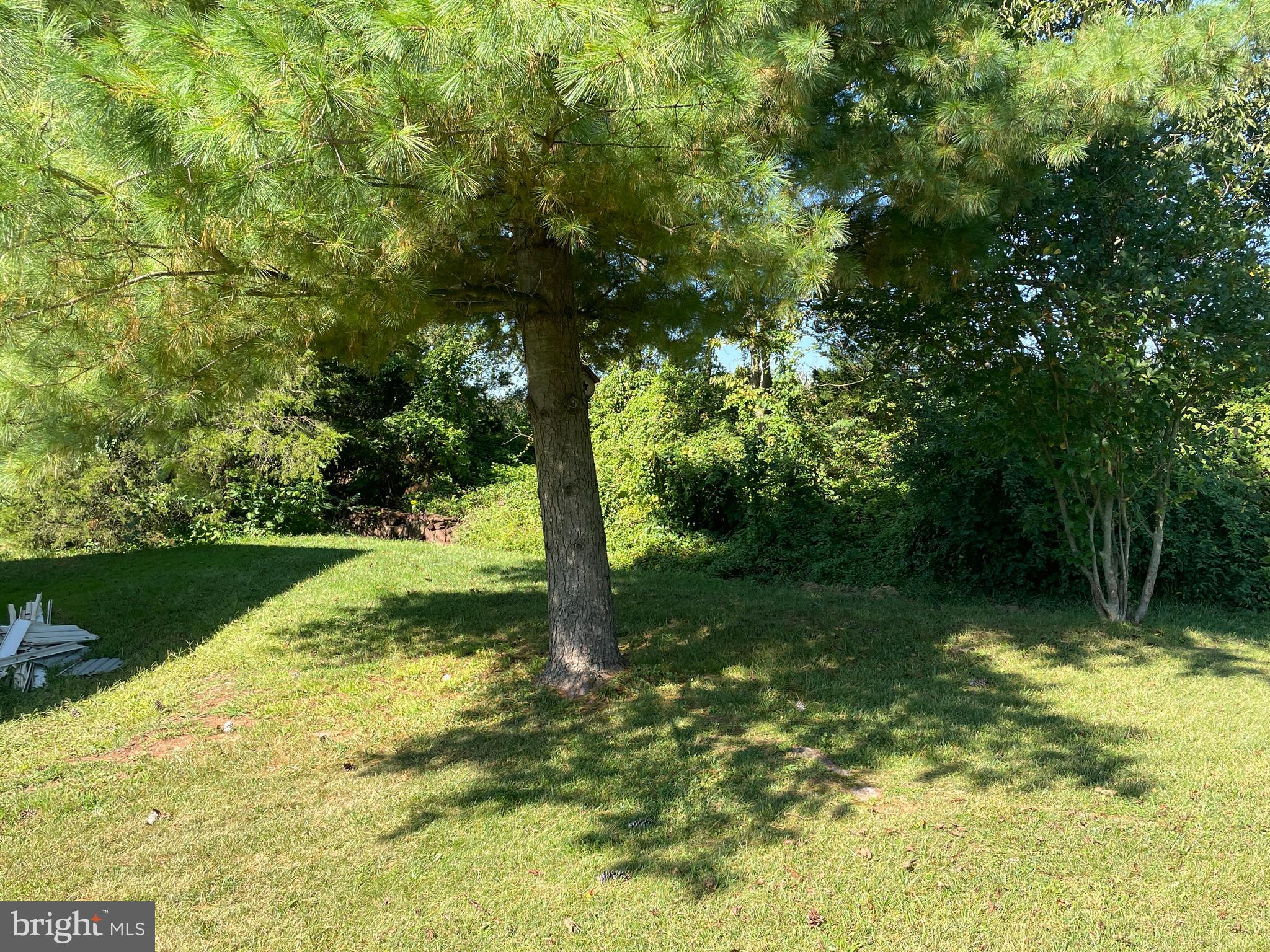 307 Ridge Road Elizabethtown, PA 17022 - Photo 23 of 73