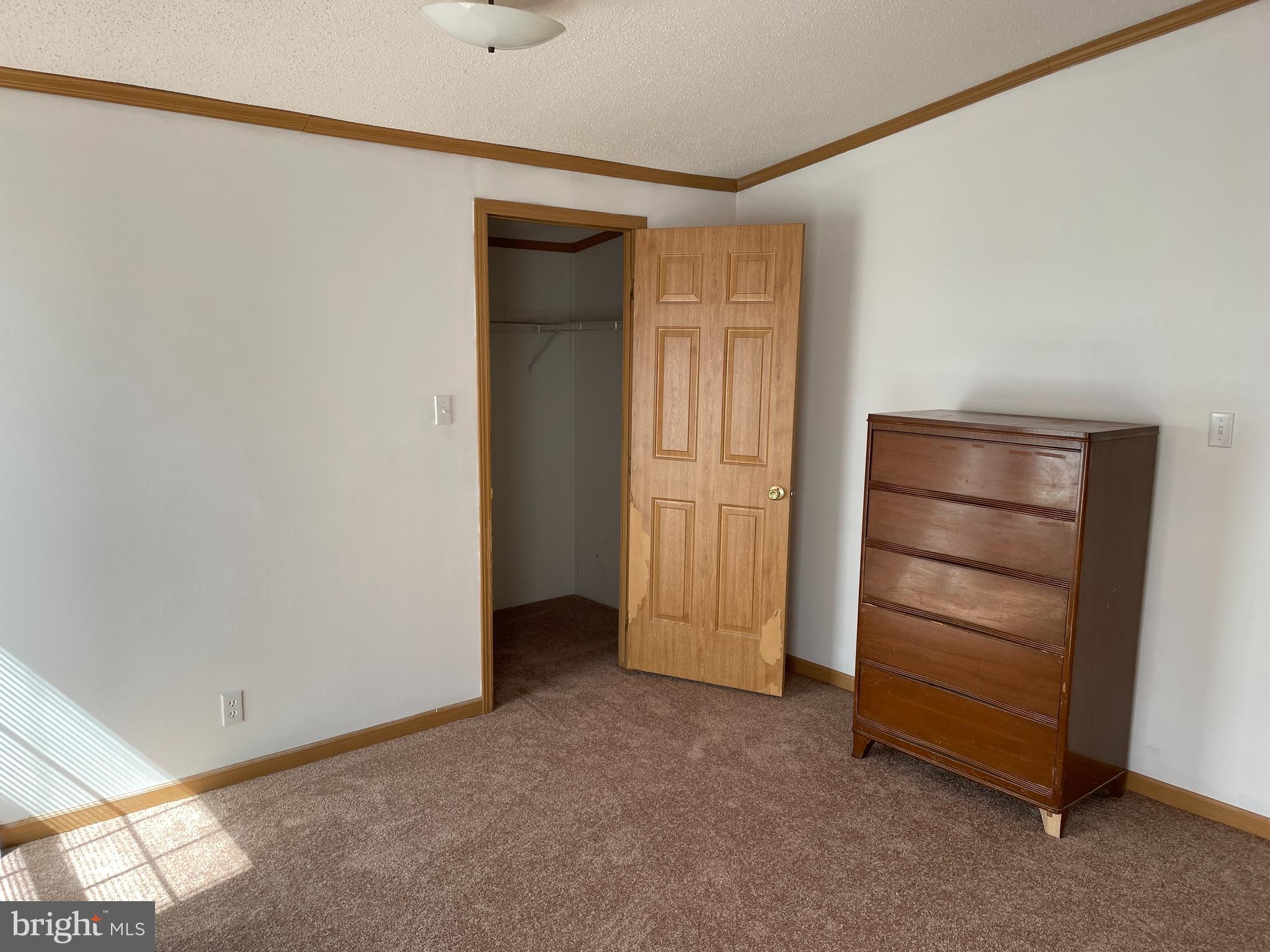 307 Ridge Road Elizabethtown, PA 17022 - Photo 48 of 73 Large bedroom - walk in closet