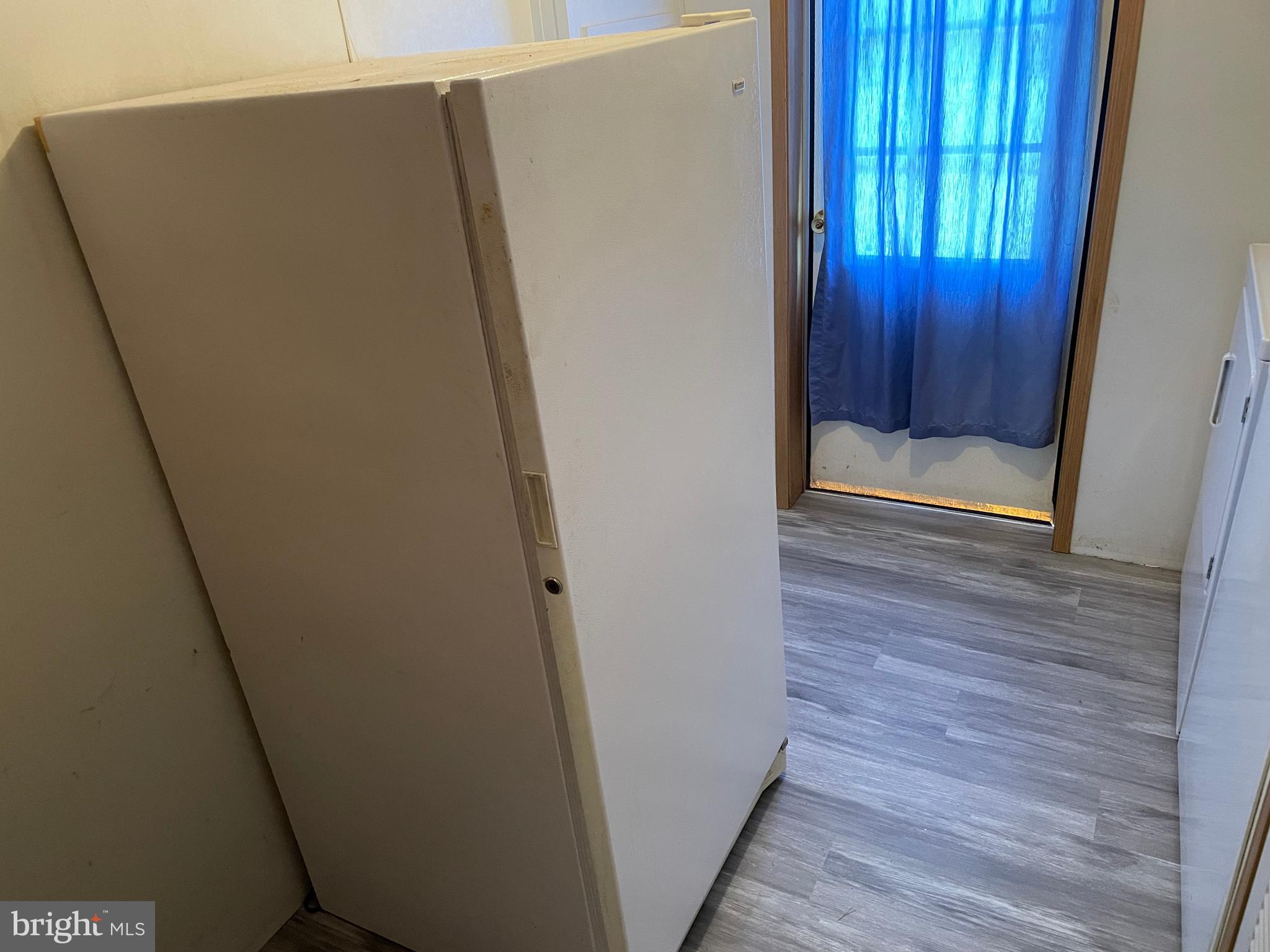 307 Ridge Road Elizabethtown, PA 17022 - Photo 70 of 73 Laundry room with standup freezer