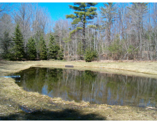 85 Buffam Road Pelham, MA 01002 - Photo 12 of 12 a view of swimming pool with a yard