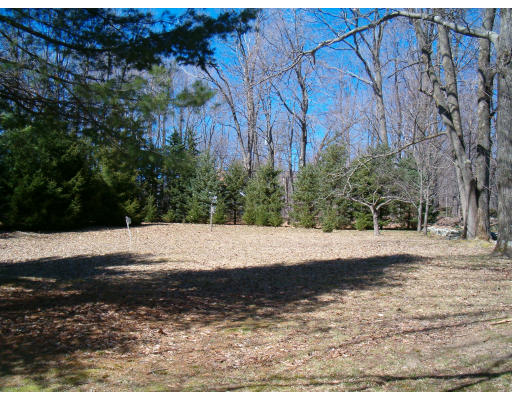 85 Buffam Road Pelham, MA 01002 - Photo 5 of 12 a view of a backyard of the house