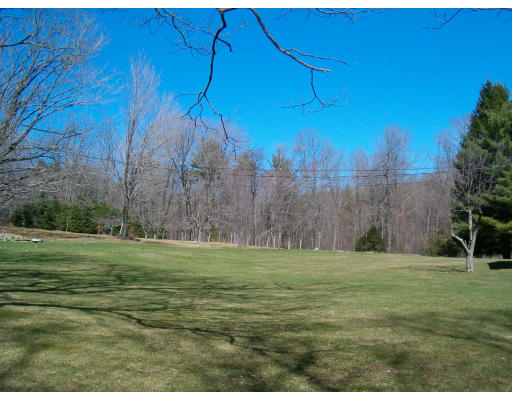 85 Buffam Road Pelham, MA 01002 - Photo 6 of 12 a big yard with trees in the background