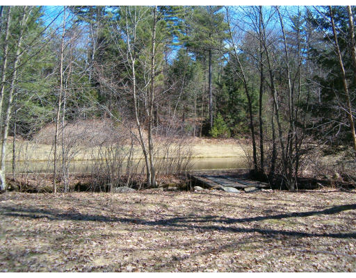 85 Buffam Road Pelham, MA 01002 - Photo 9 of 12 a view of a backyard with green space