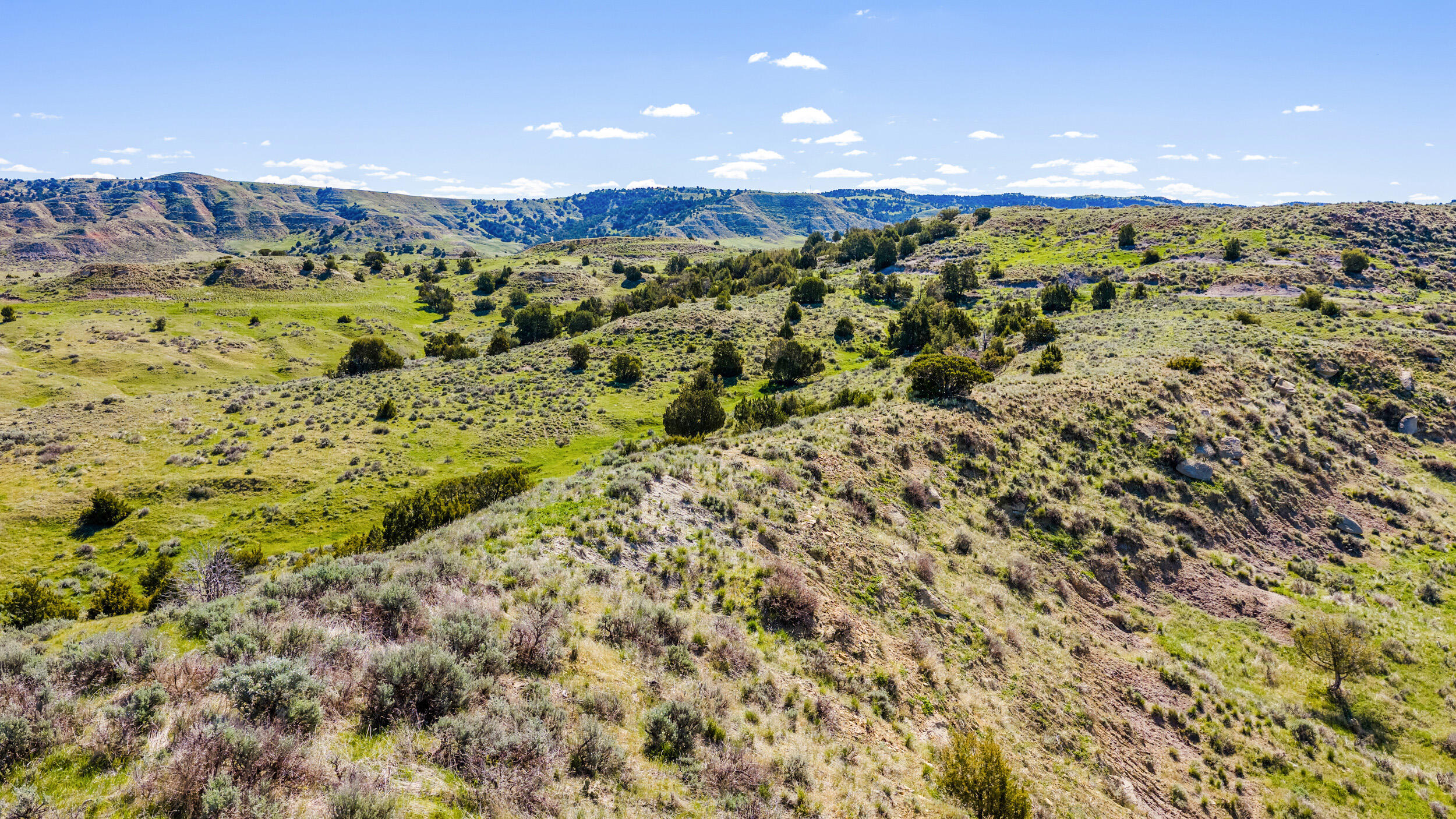 593 Lower Prairie Dog Road Sheridan, WY 82801 - Photo 62 of 142 593 lower praire dog 06