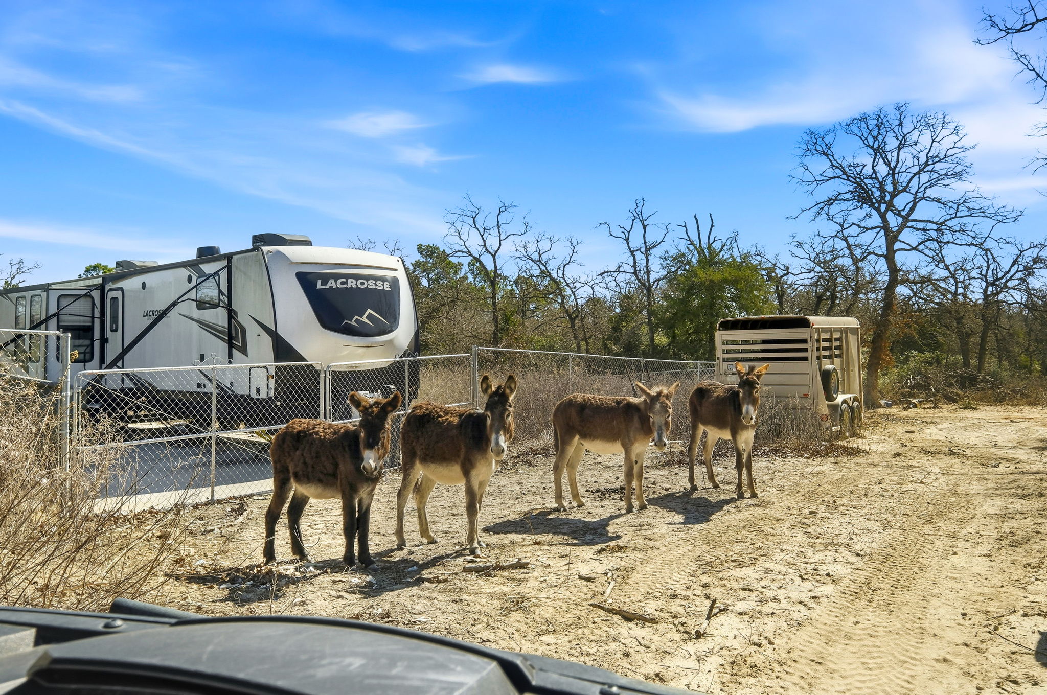 1310 Perry Lane Thorndale, TX 76577 - Photo 12 of 23 RV area from main road