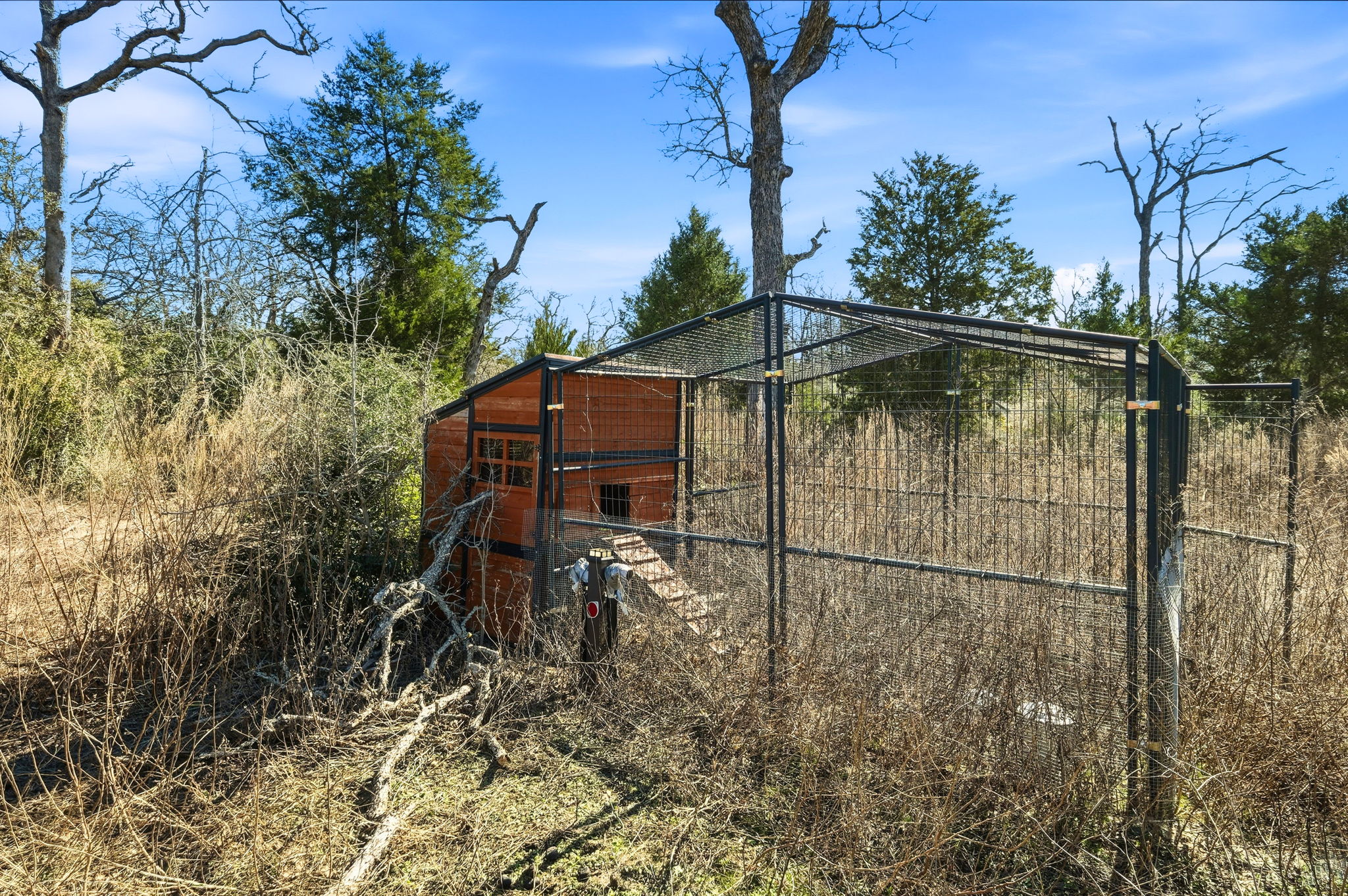1310 Perry Lane Thorndale, TX 76577 - Photo 15 of 23 Chicken/Duck Coop near pond