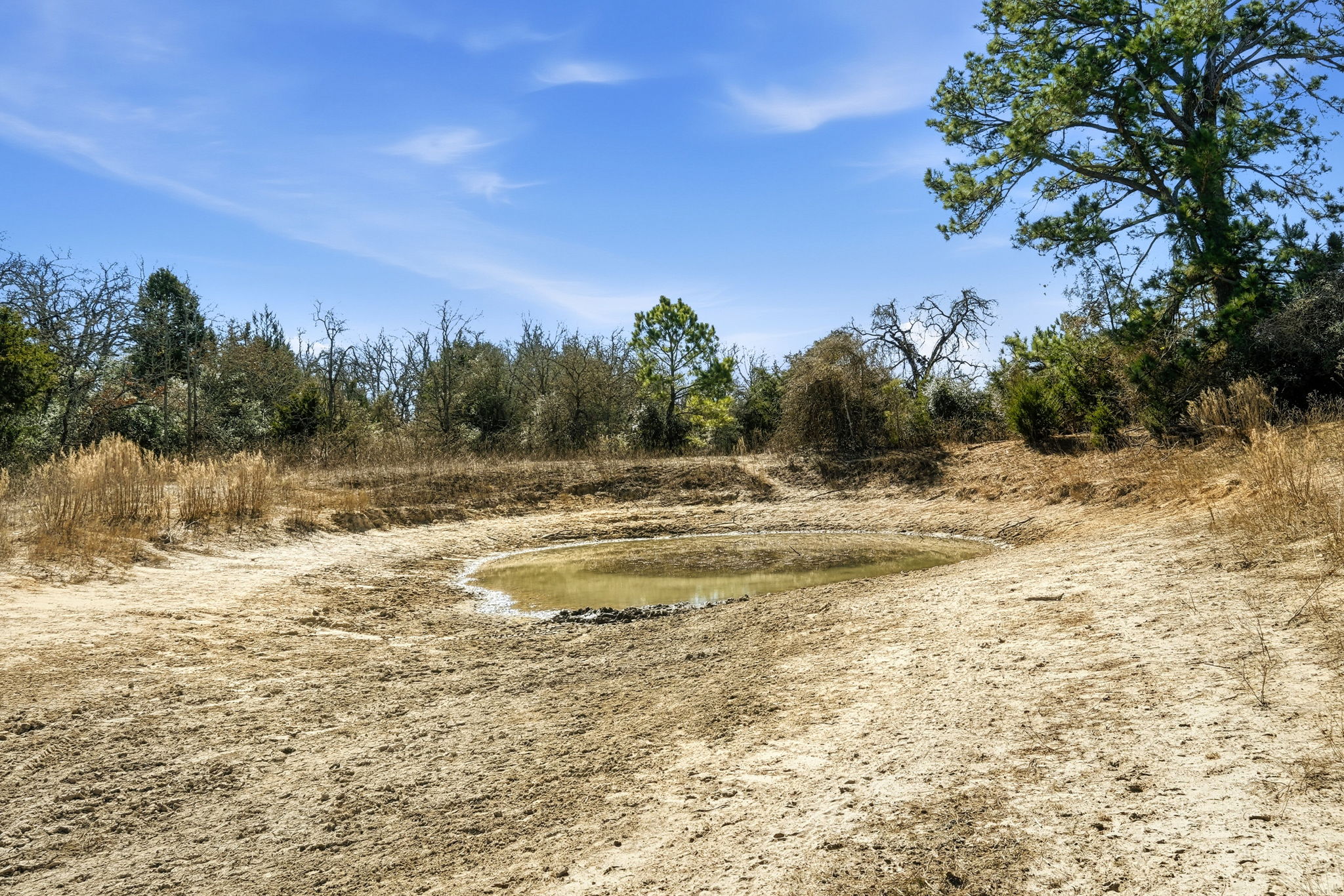1310 Perry Lane Thorndale, TX 76577 - Photo 17 of 23 Pond