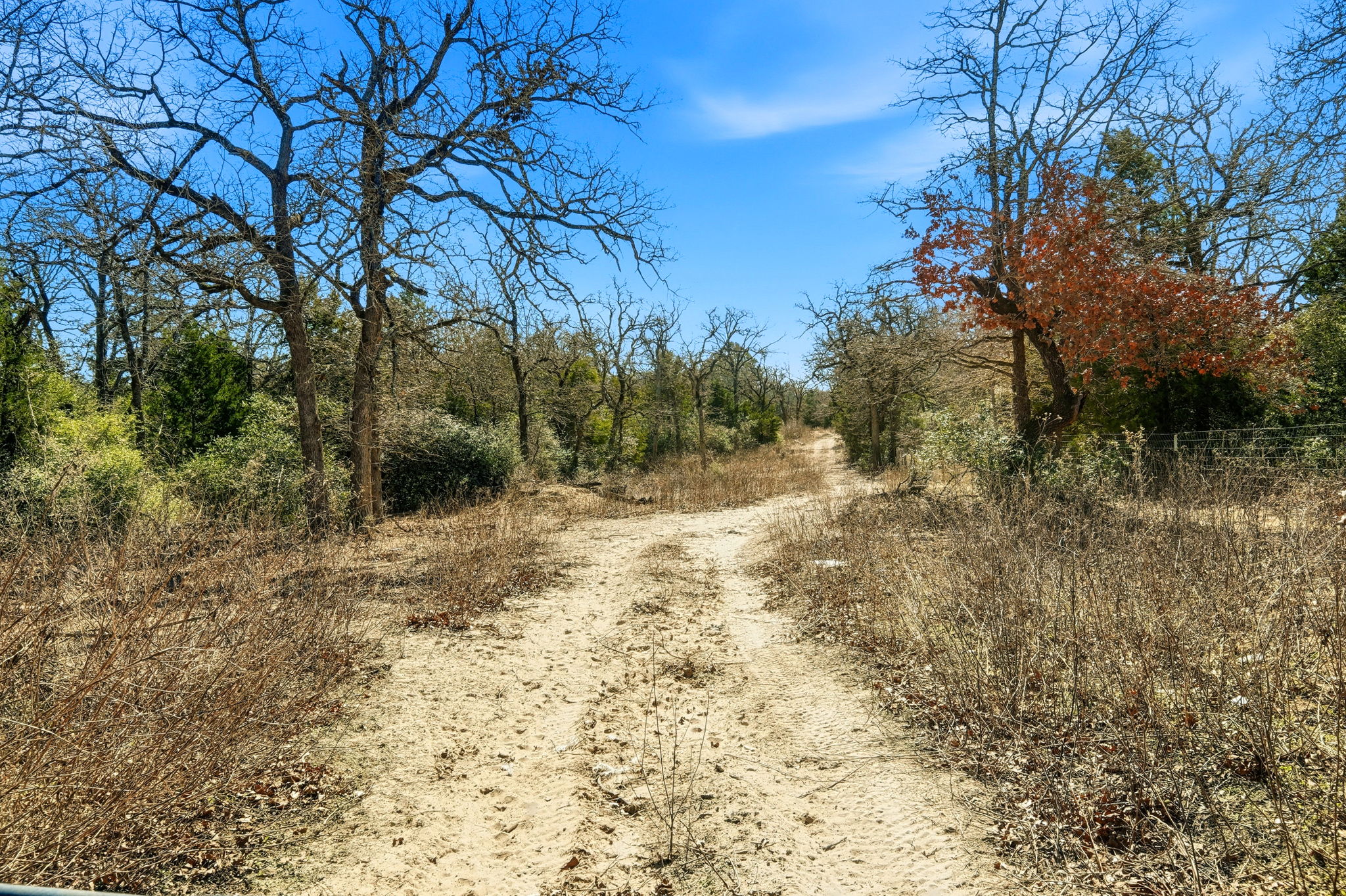 1310 Perry Lane Thorndale, TX 76577 - Photo 19 of 23 Right side sendero on property.