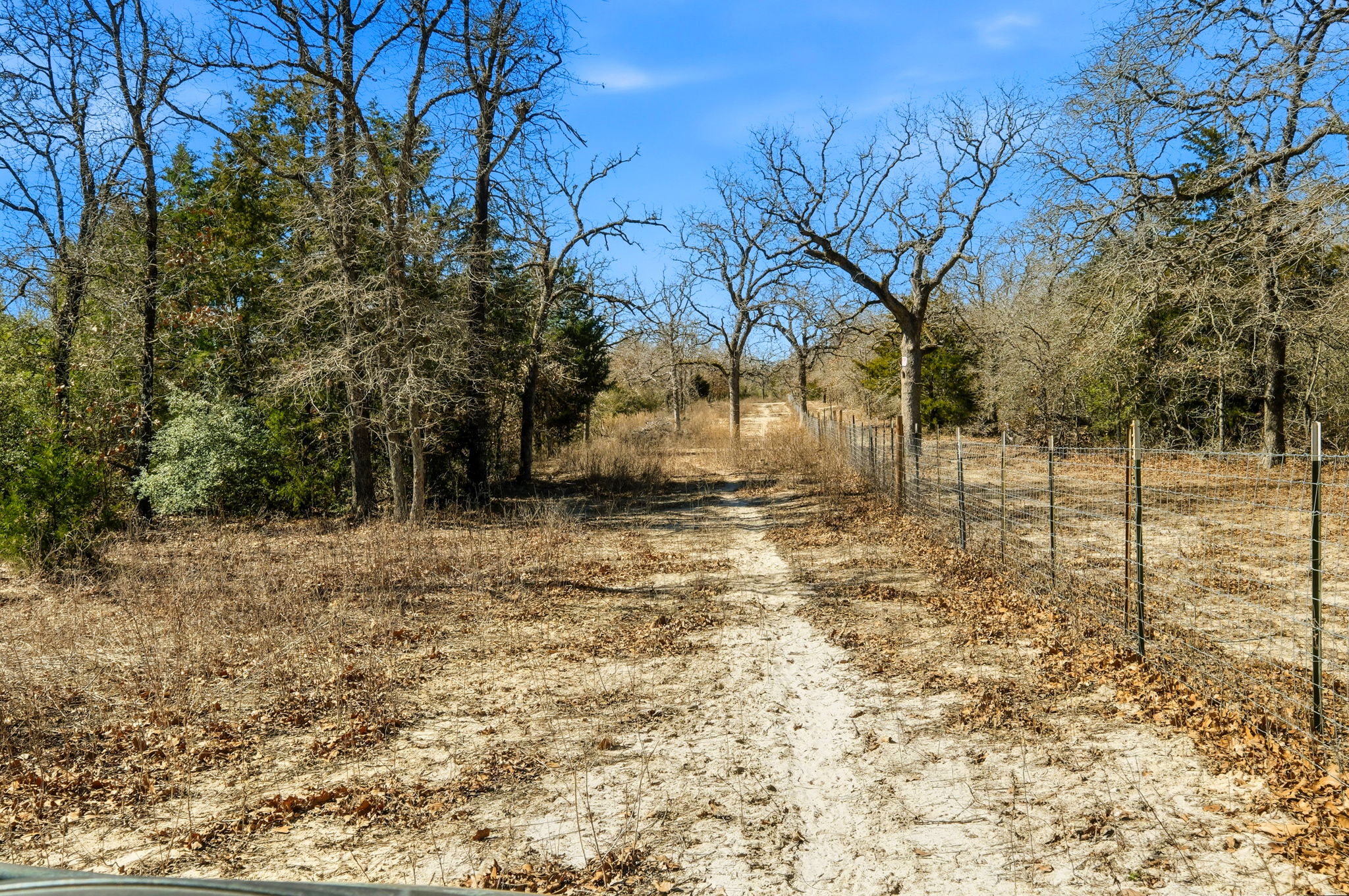 1310 Perry Lane Thorndale, TX 76577 - Photo 20 of 23 Right side sendero on property.
