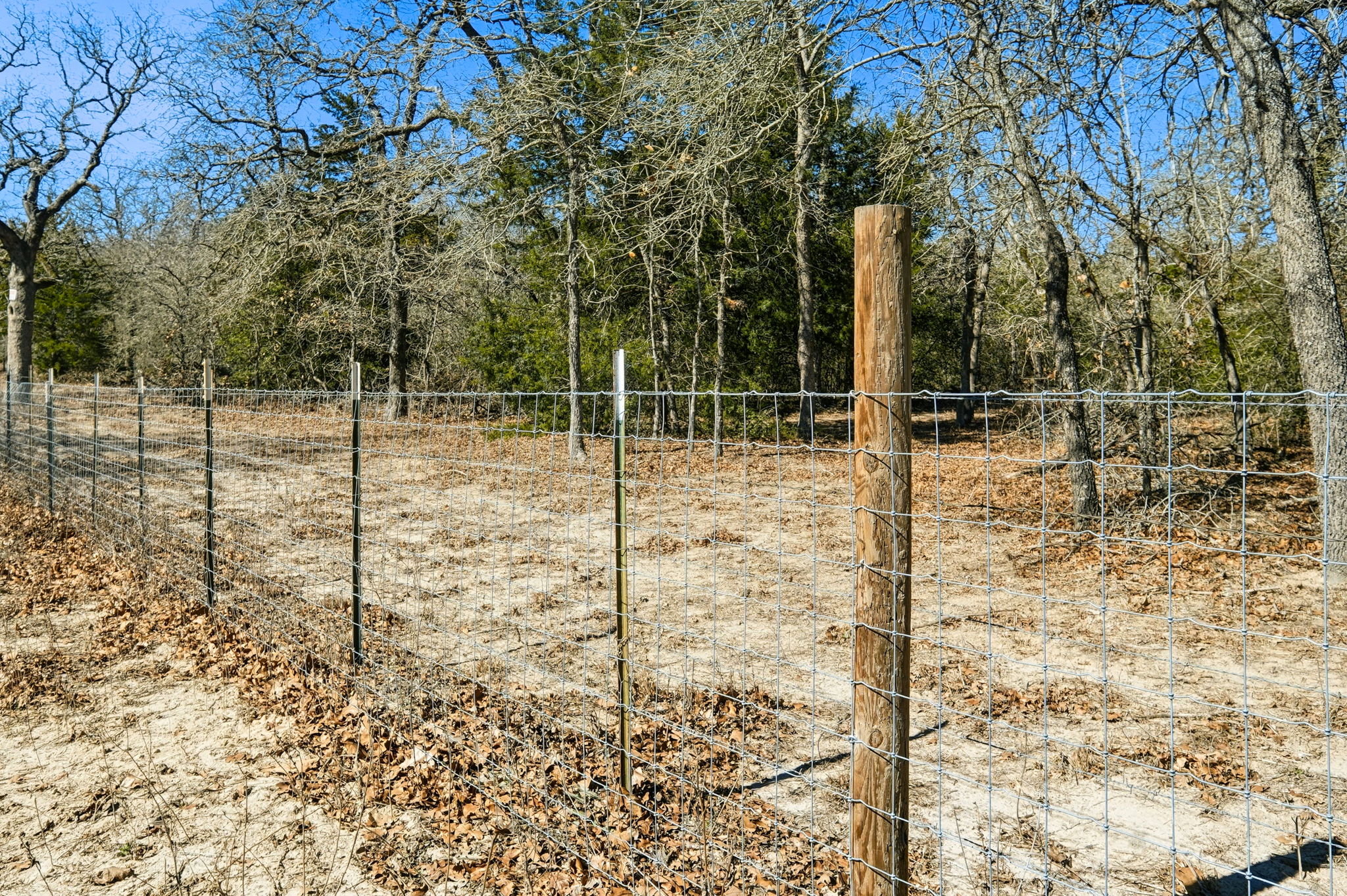 1310 Perry Lane Thorndale, TX 76577 - Photo 21 of 23 Right side fenceline.