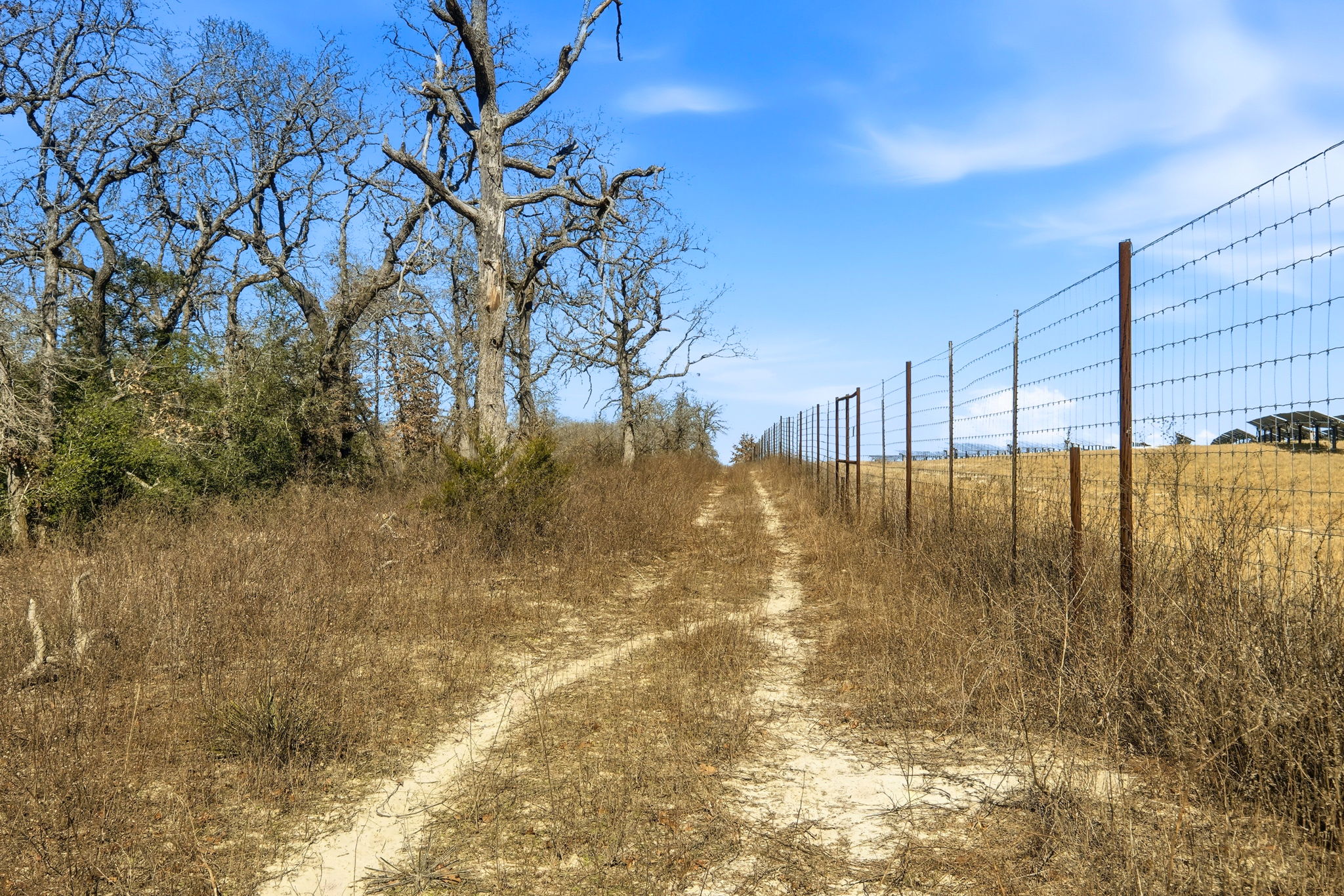 1310 Perry Lane Thorndale, TX 76577 - Photo 23 of 23 Left side of property fenceline/sendero