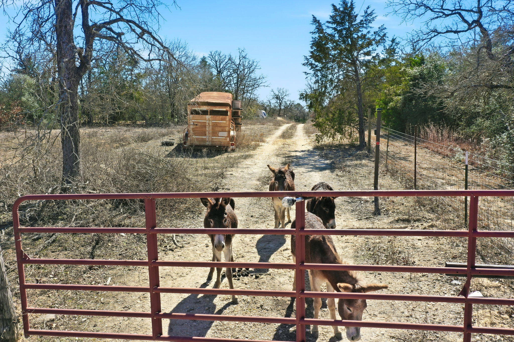 1310 Perry Lane Thorndale, TX 76577 - Photo 9 of 23 Entrance Gate