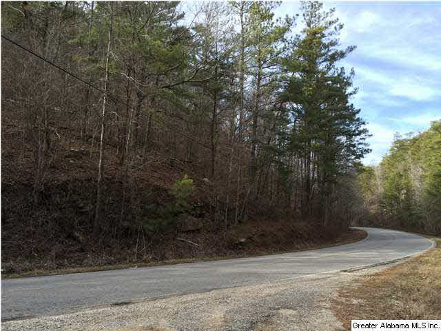 734 Valley Grove Road, Unit 15 4 ACR Remlap, AL 35133 - Photo 28 of 32