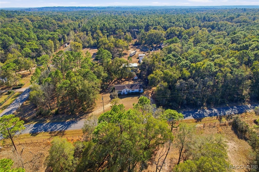 3732 East Flint Lane Inverness, FL 34452 - Photo 39 of 41