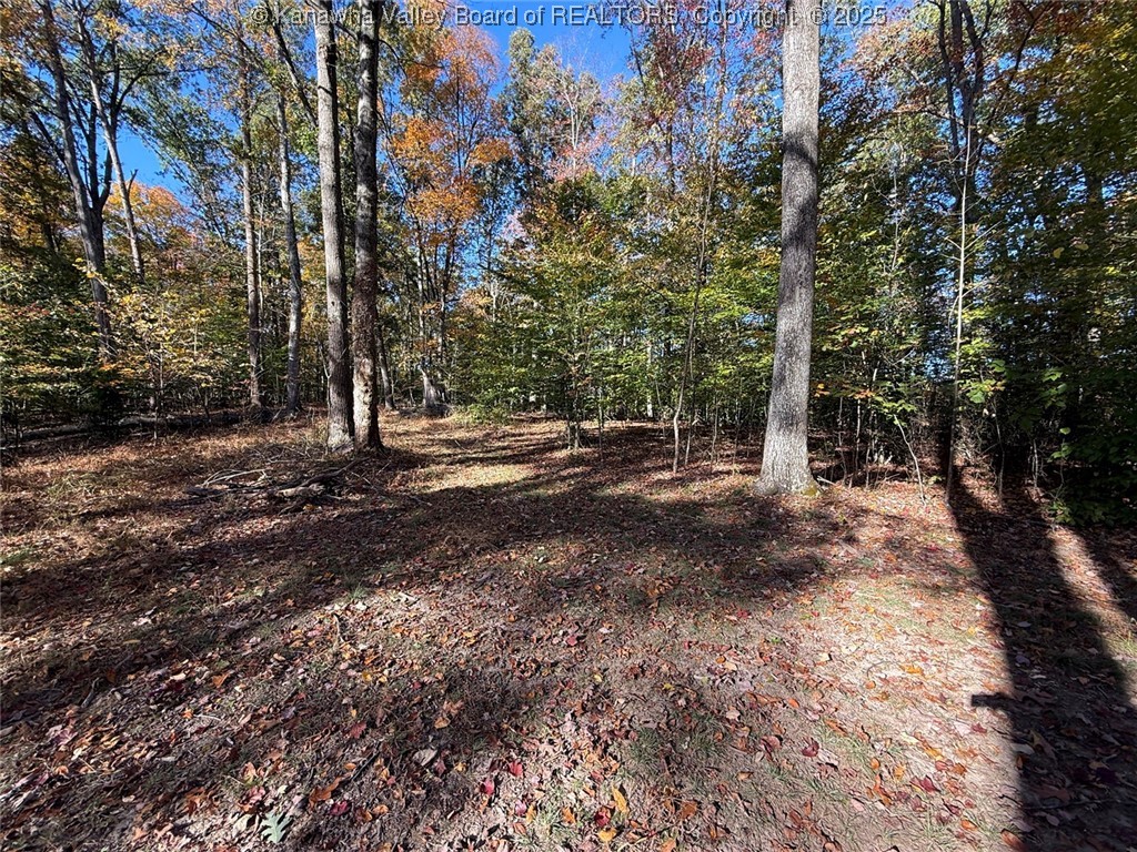 51 Abbey Road Charleston, WV 25311 - Photo 8 of 9 Gallery Image 8