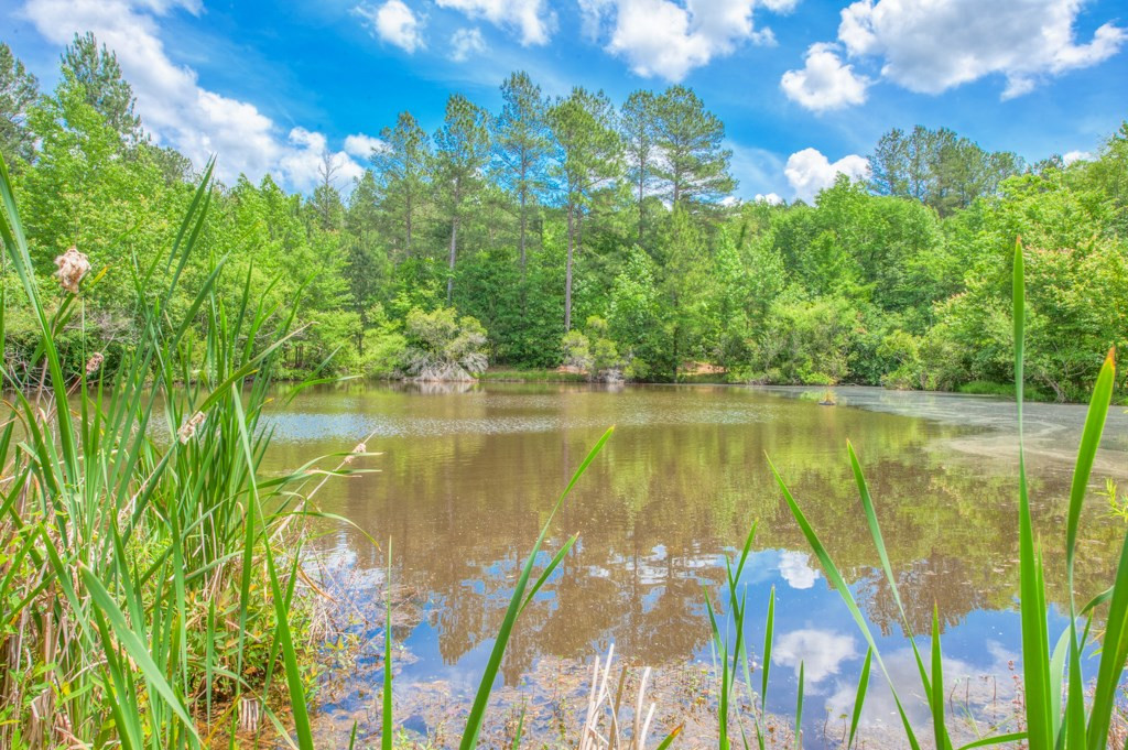16 Cheves Creek Road North Augusta, SC 29860 - Photo 2 of 31 Gallery Image 2