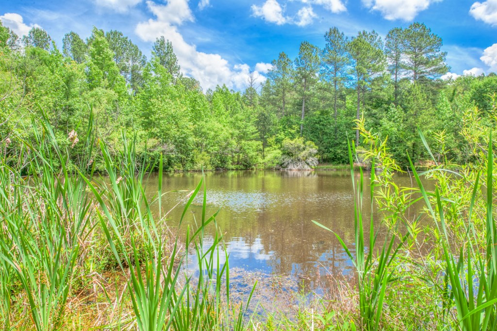 16 Cheves Creek Road North Augusta, SC 29860 - Photo 29 of 31 Gallery Image 29