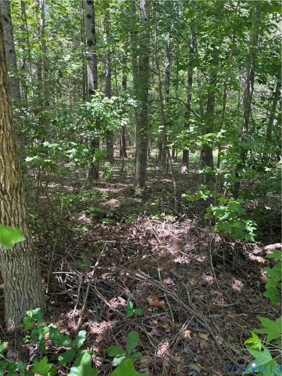Tbd Monguy Road Charles City, VA 23030 - Photo 3 of 5 Wooded Parcel