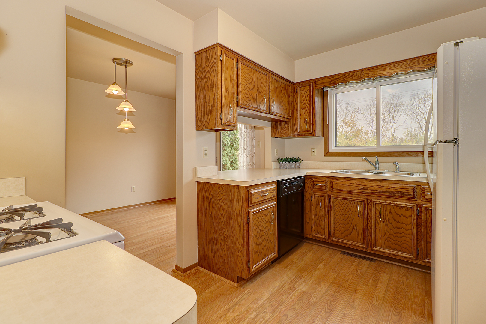 507 South Raven Road Shorewood, IL 60404 - Photo 9 of 24