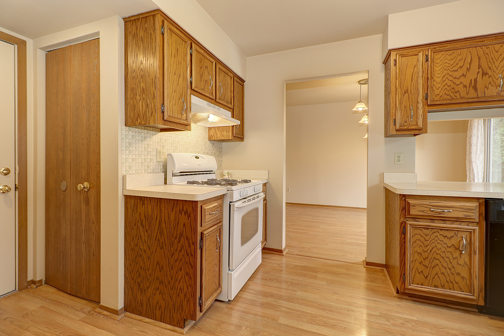 507 South Raven Road Shorewood, IL 60404 - Photo 10 of 24