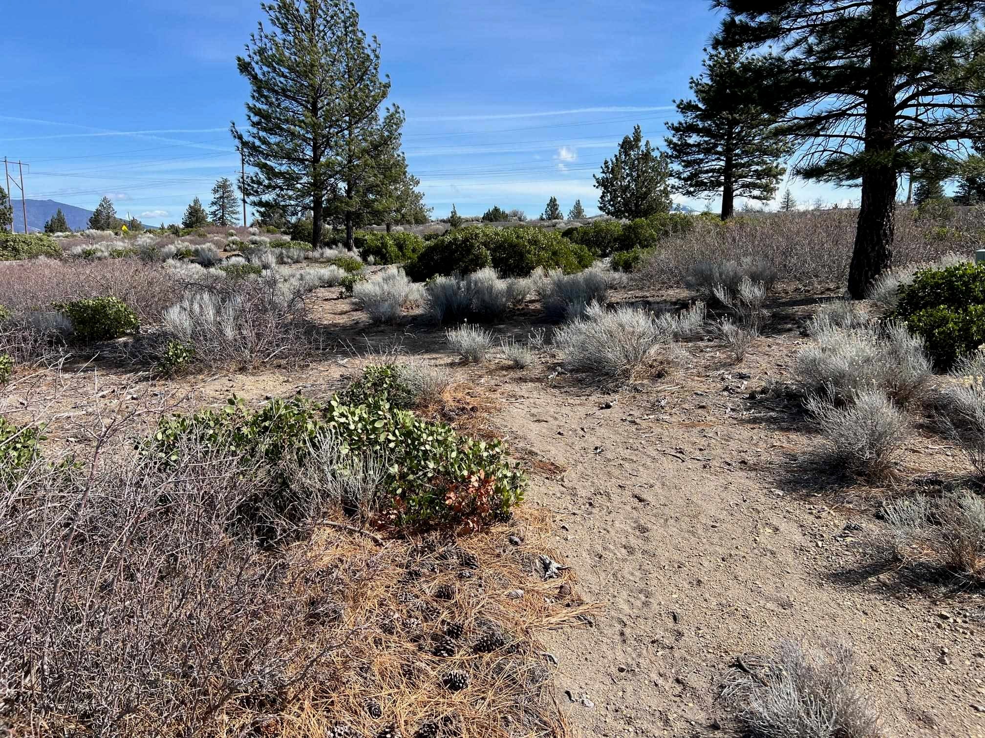 7-2 Unit Road Weed, CA 96094 - Photo 7 of 33 Gallery Image 7