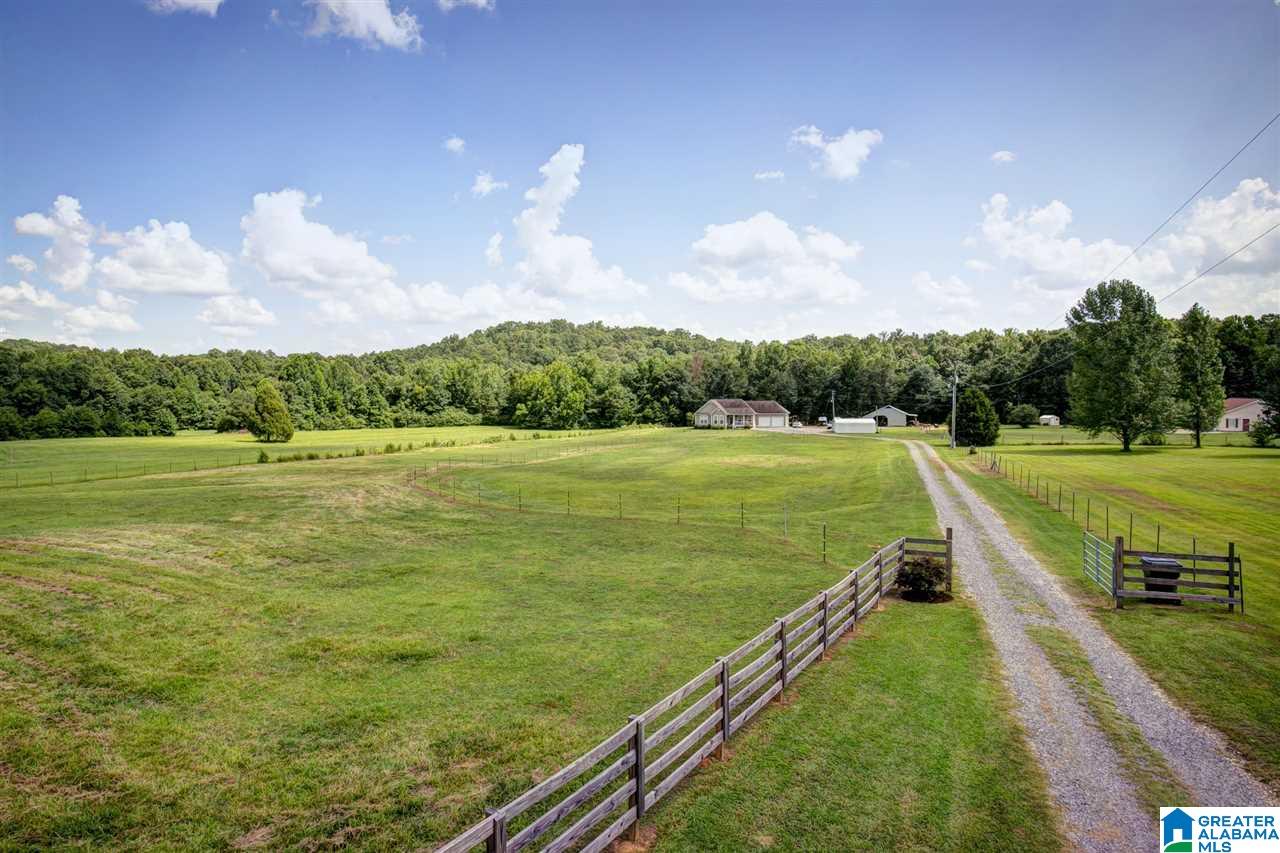 1665 Canoe Creek Road Springville, AL 35146 - Photo 2 of 24