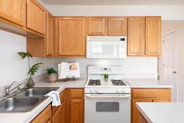 $1,900 | 102 Yellow Hawthorn Circle, Summerville, SC 29483