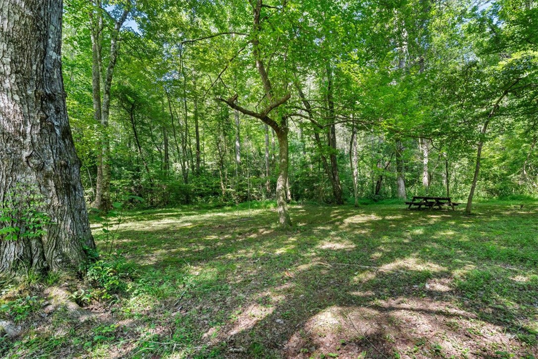 237 Hickory Ridge Mountain Rest, SC 29664 - Photo 18 of 38