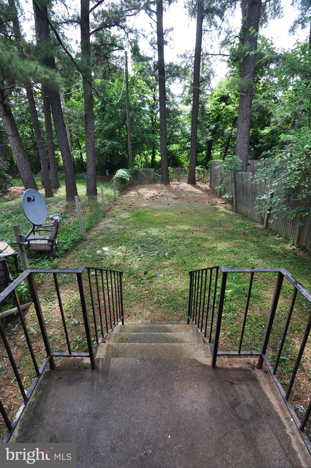 Porch and rear yard