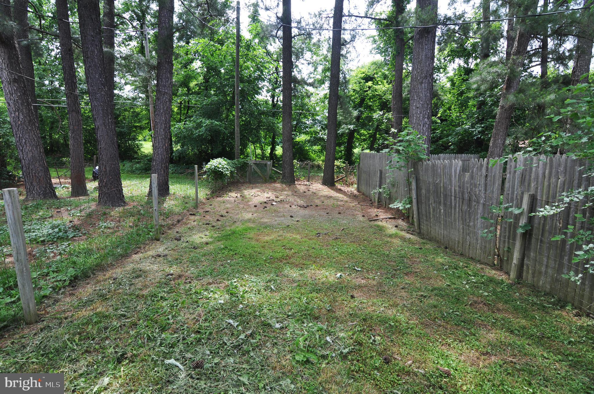 Rear yard
