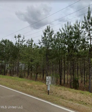 $250,000 | Old Whitfield Road, Pearl, MS 39208