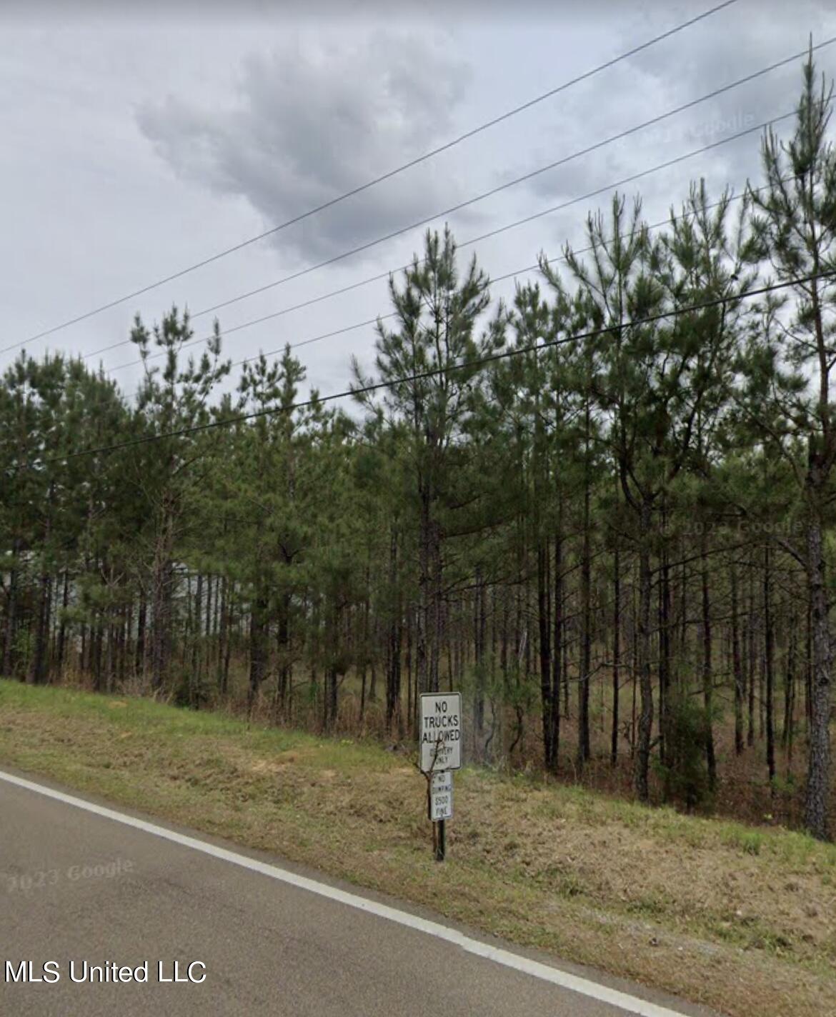 Old Whitfield Road Pearl, MS 39208 - Photo 2 of 6 0 Old Whitfield Road