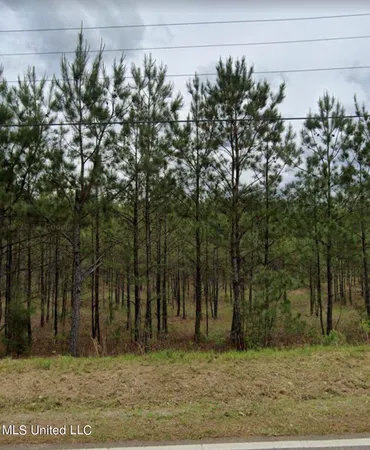 $250,000 | Old Whitfield Road, Pearl, MS 39208