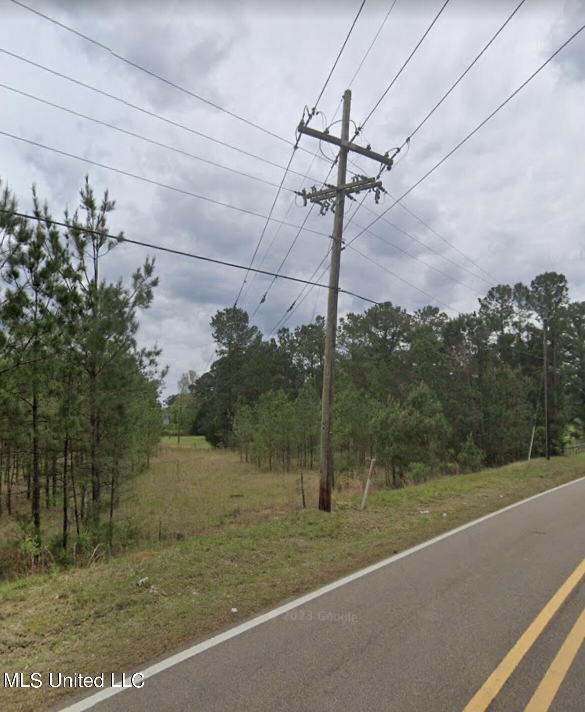 Old Whitfield Road Pearl, MS 39208 - Photo 4 of 6 IMG_1366