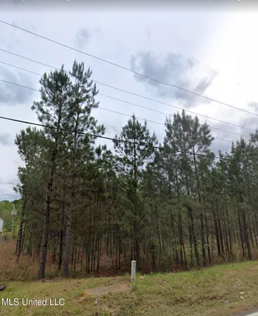 $250,000 | Old Whitfield Road, Pearl, MS 39208