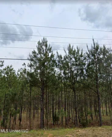 $250,000 | Old Whitfield Road, Pearl, MS 39208