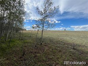 1599 Campfire Road Hartsel, CO 80449 - Photo 19 of 39 Gallery Image 19