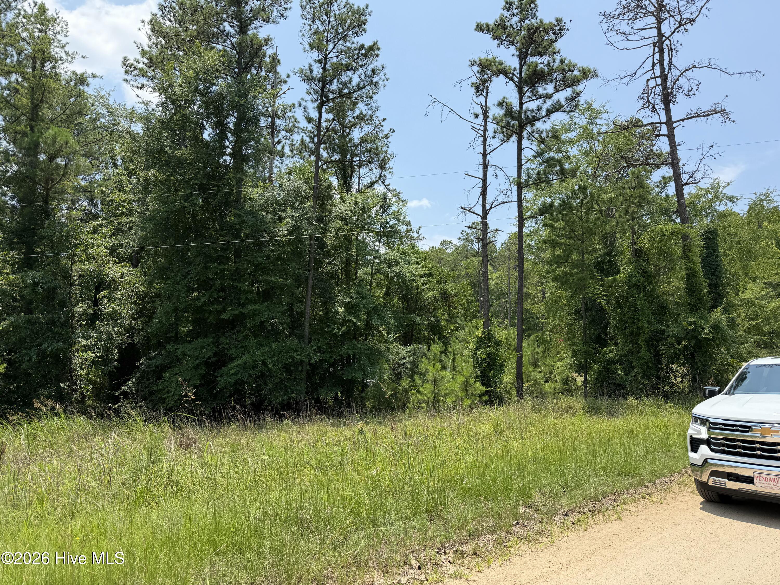 0 Burks Mountain Road Appling, GA 30802 - Photo 2 of 3