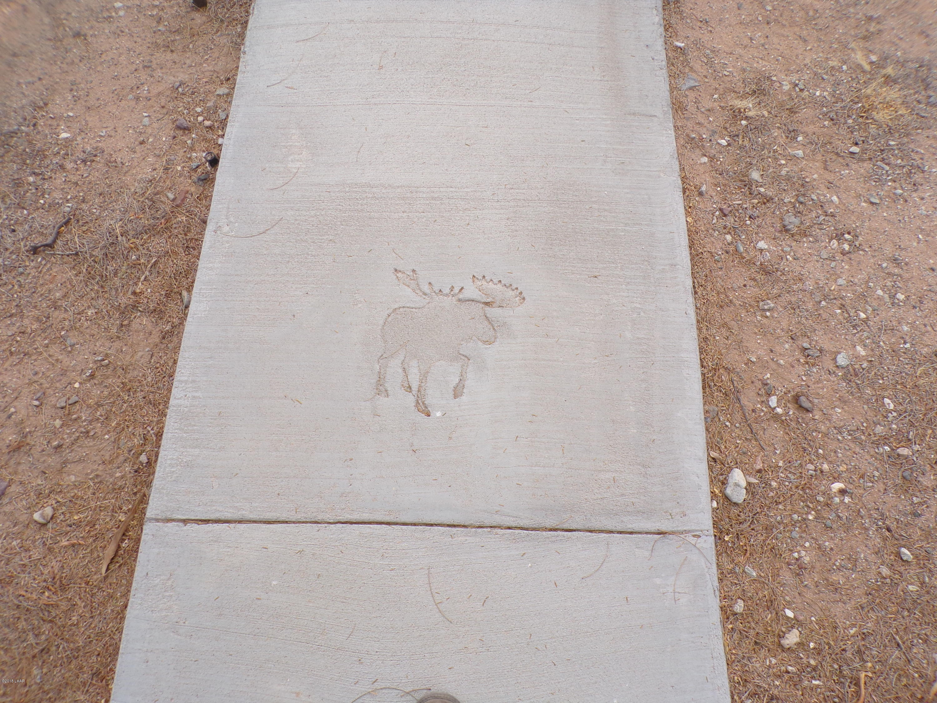 25533 Ochoco Way Bouse, AZ 85325 - Photo 21 of 27 Custom imprints on walkway