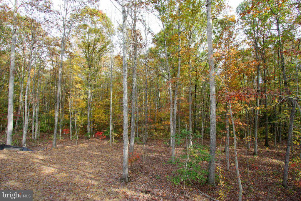 7 Winding Ridge Way Bumpass, VA 23024 - Photo 4 of 21 a view of a forest