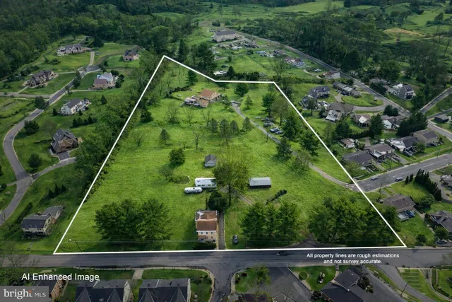 a view of a yard with plants