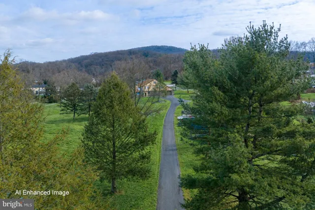 an aerial view of green landscape with trees houses and mountain view