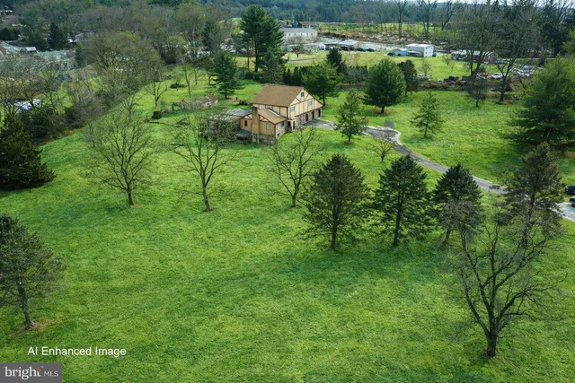 a green field with lots of trees in it