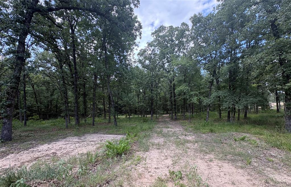 5948 Rd Yantis Tx 75765 Road, Unit 23 Yantis, TX 75497 - Photo 7 of 11