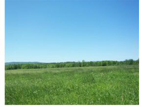 Lot 5 Westin Road Ferrisburgh, VT 05456 - Photo 9 of 15 Gallery Image 9