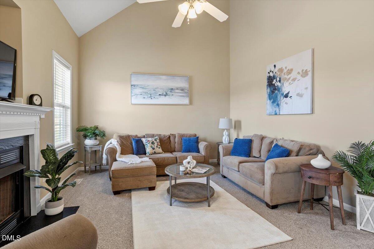 119 Victory Circle Willow Spring, NC 27592 - Photo 17 of 33 a living room with furniture a fireplace with a potted plant