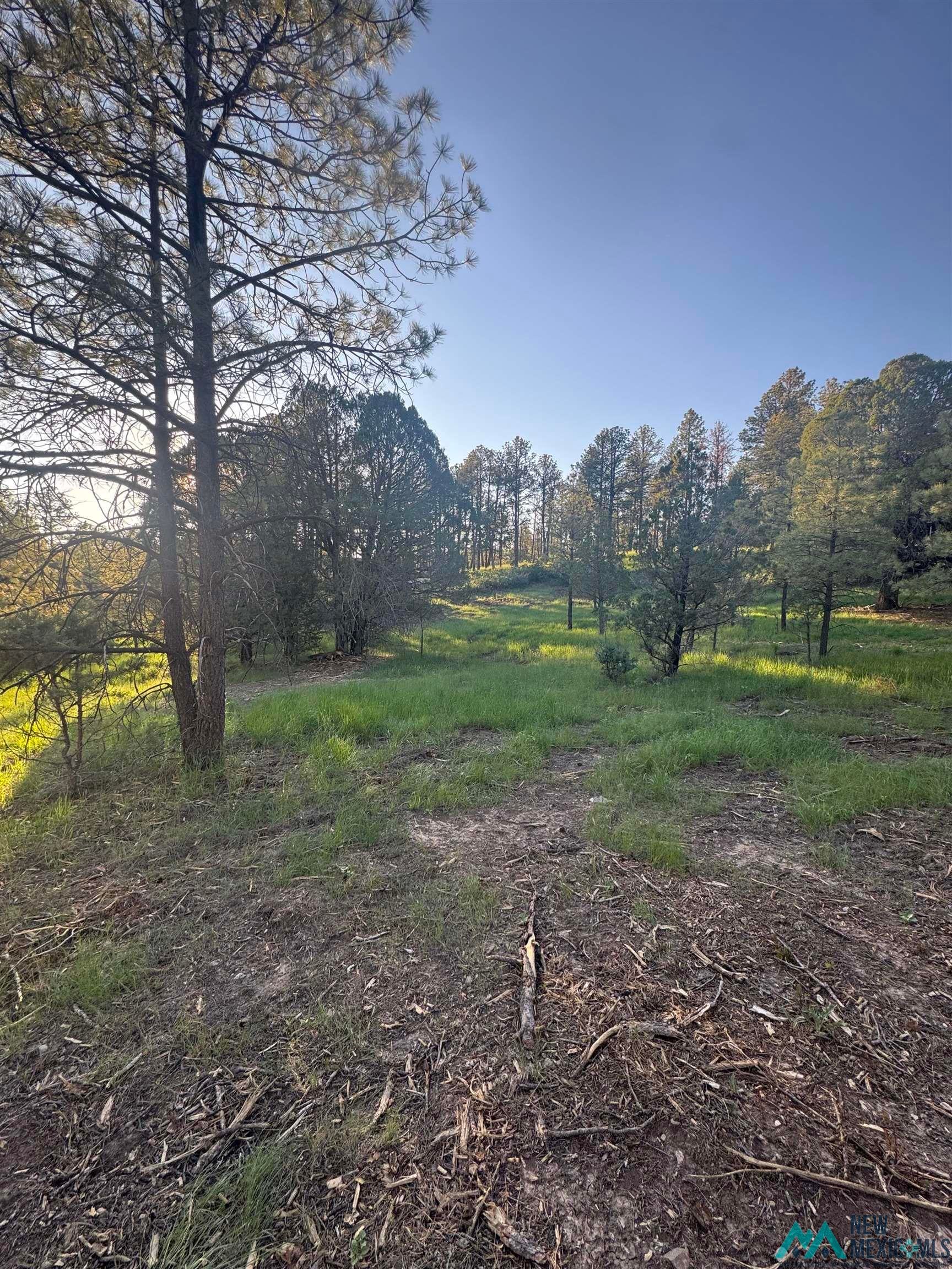 12 Rio Pinar Drive Timberon, NM 88350 - Photo 3 of 6