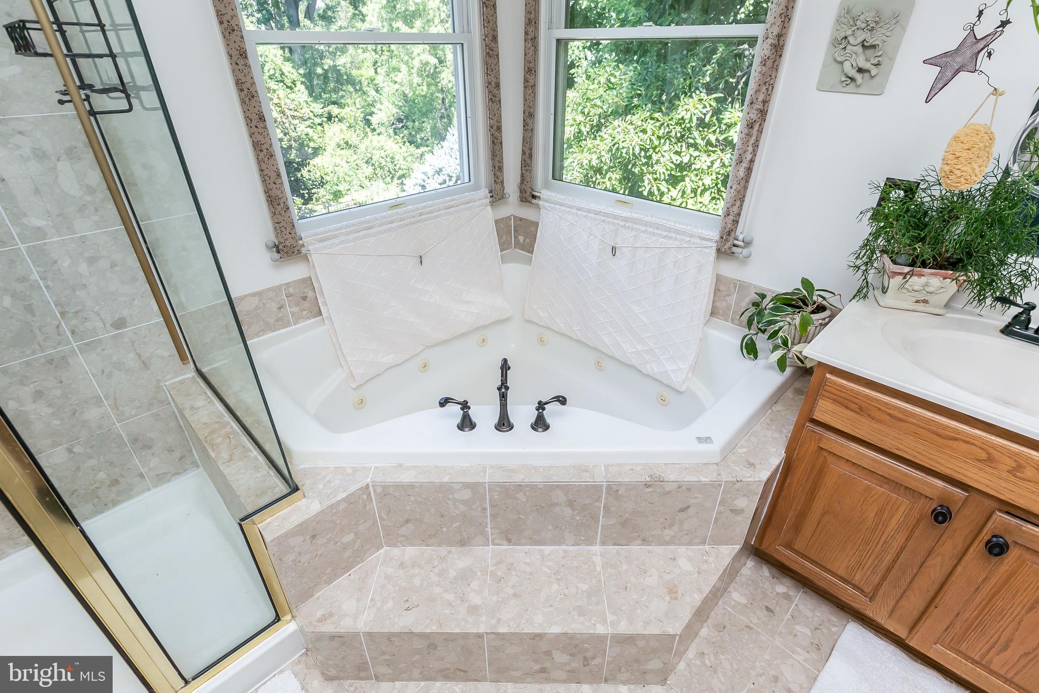9843 Magledt Road Baltimore, MD 21234 - Photo 19 of 41 Jetted Tub